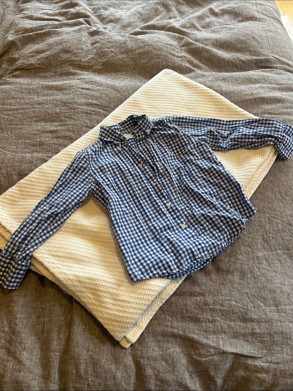 J. Crew Blue and White Gingham Button-Down Shirt